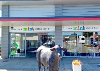 Mint Cafe Bar Bulls